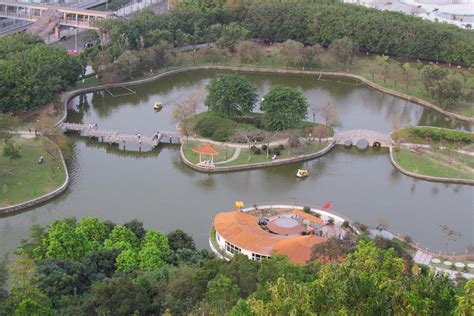  樟木頭生態公園，探索自然奧秘的綠色天堂！